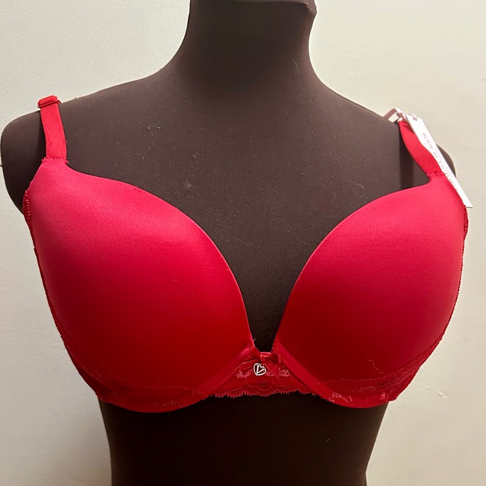 NWT Body by Victoria Bra